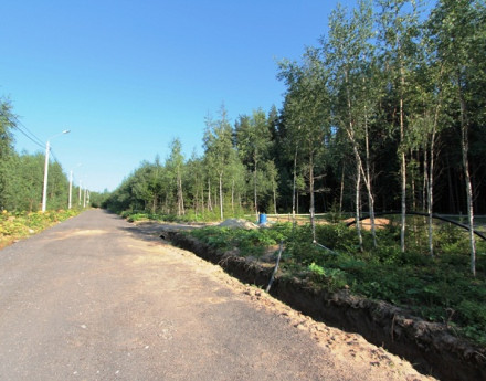 Дорога в поселок Лисья горка