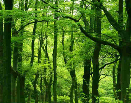 Участки на Новорижском шоссе