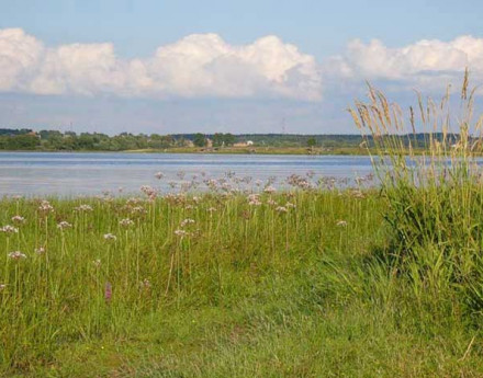 Коттеджный поселок Лидино Рузская сказка