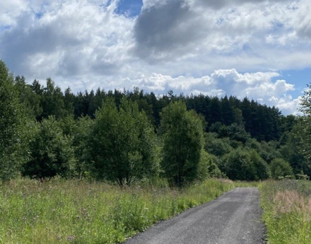 Коттеджный поселок Новое Огуднево-2