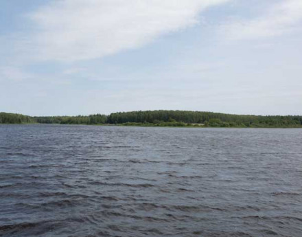 Купить дом в поселке Изумрудные кроны