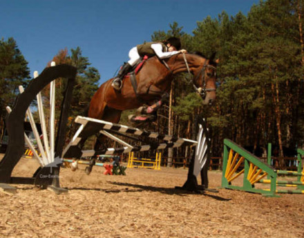 Спорт Дракино