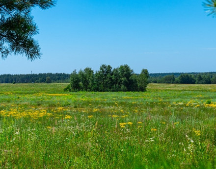 Виды Пашуковские озера