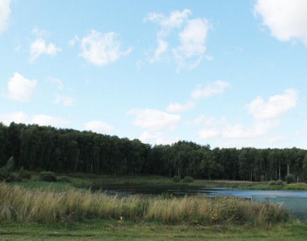 Участки в Воскресенском районе