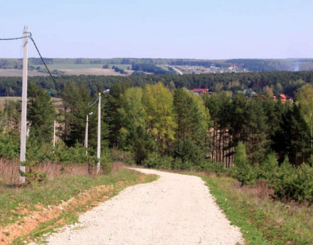 Дорога в поселок Лёвшино