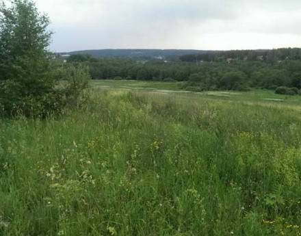 Территория поселка Позитив