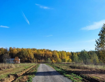 Виды Новое Огуднево-2