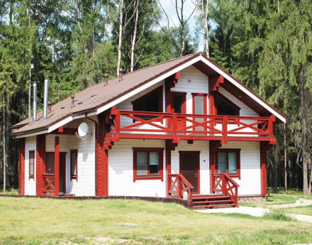 Дома в поселке Пушкинский лес