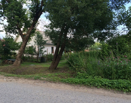 Дорога Пионерский