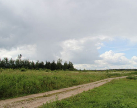 Дорога в поселок Бегичево