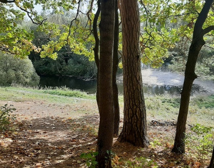 Коттеджный поселок Ровки