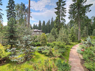 Дома в поселке Сосновый бор