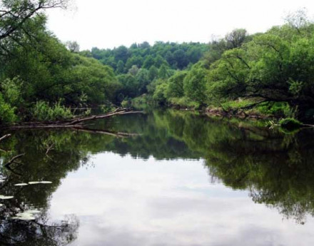 Окрестности КП Волшебная страна