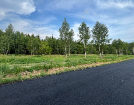 Виды Васильевские дворики