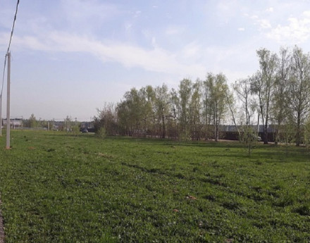 Коттеджный поселок Янтарный