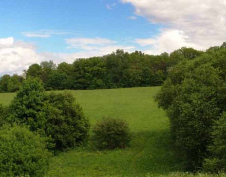 Дачный поселок Свистуха