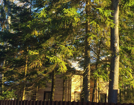 Участки в поселке Истринский лес