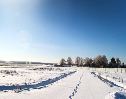 Территория Солнечный луг