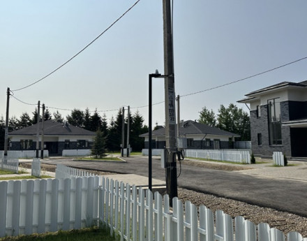 Виды Веванта лайф