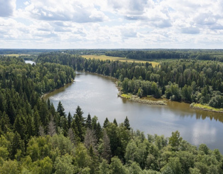 Виды Петряиха