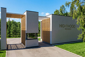 Пространство тишины среди высоких сосен