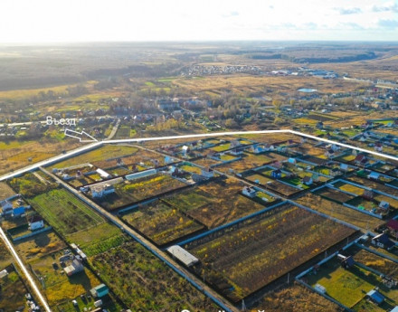 Виды Зеленый луг