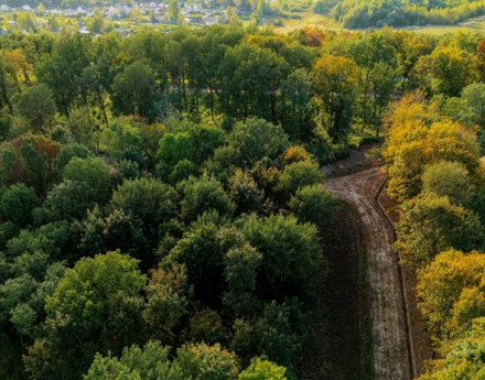 Коттеджный поселок Ближнево