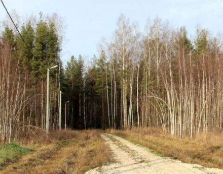 Участки Сосновый край