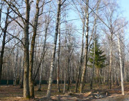 Коттеджный поселок Лесные озера