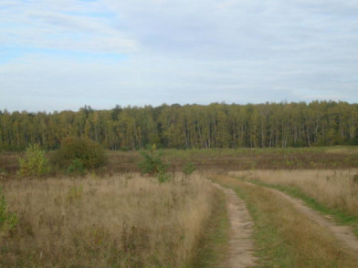 Дорога в поселок Красивая земля