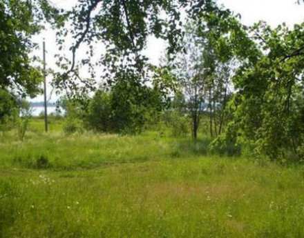 Коттеджный поселок Озернинские просторы