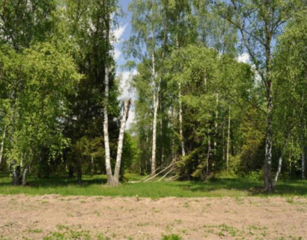 Дорога в поселок Лесная подкова