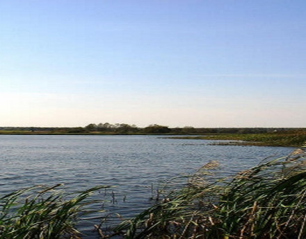 Водоем у дачного поселка Околица