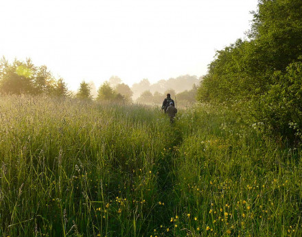 Участки Защепино