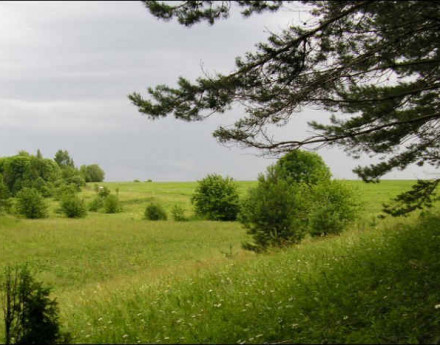 Коттеджный поселок Покровские ворота