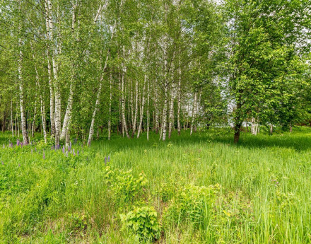 photo_2025-09-28_10-29-42 (2).jpg