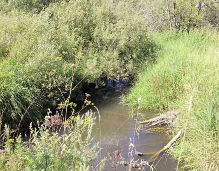 Территория Николины озера