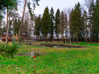 Коттеджный поселок Шишки