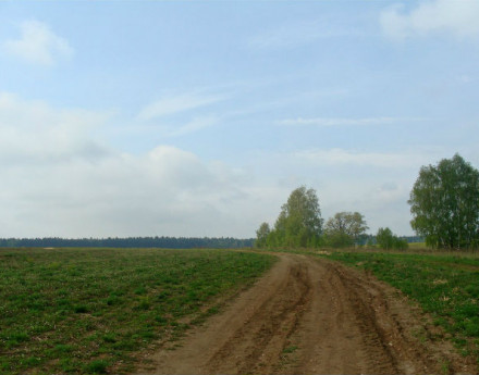Дорога к поселку Прудненские дачи