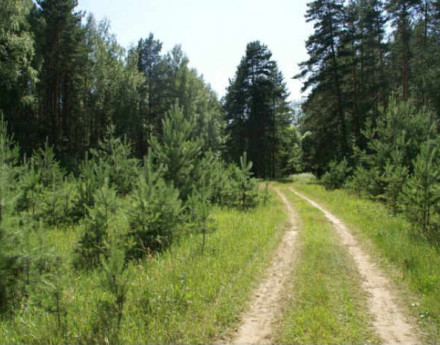 Участки Иванов лес на Егорьевском  шоссе