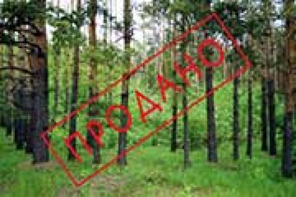 Как чиновники пускают корни на «золотых» подмосковных гектарах