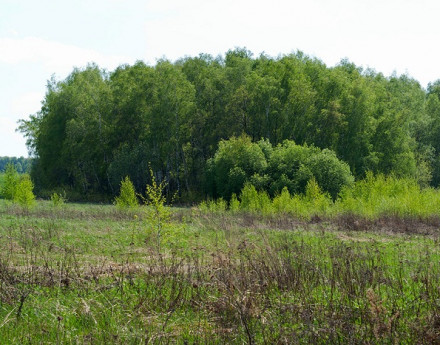 Коттеджный поселок Ясная поляна