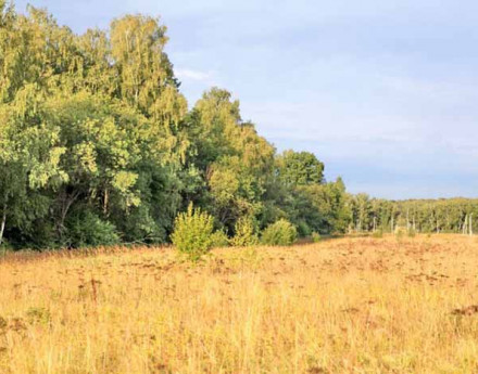 Участки в Заокском районе