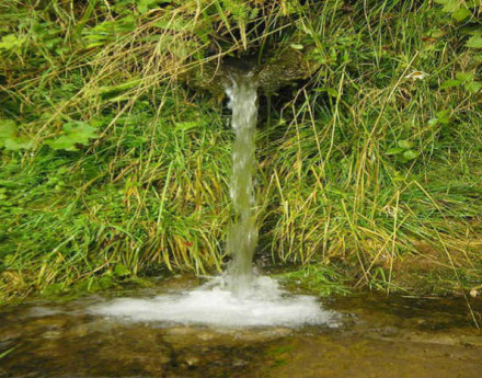 Территория Родники