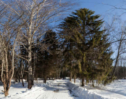 Участки Новая Иберия на Калужском шоссе