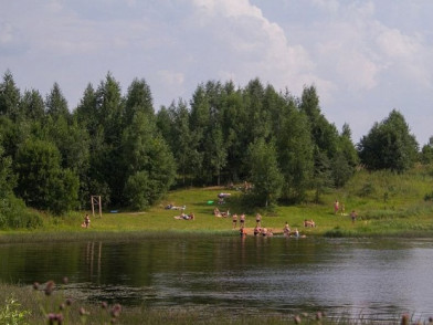 Дачный поселок Виноградовка