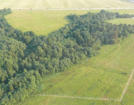 Земельные участки Новая дача на Дмитровке