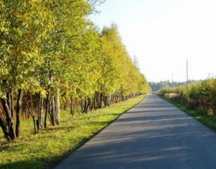 Лесное на Киевском шоссе