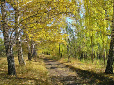 Коттеджный поселок Озерный край Лыщево