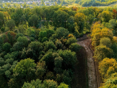 Коттеджный поселок Ближнево